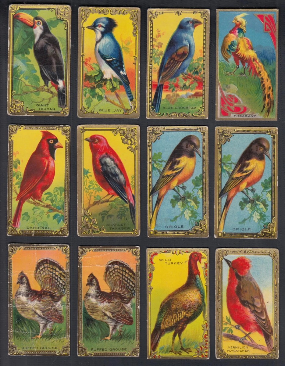 birds of a feather tobacco series Whimsical Plug  70Cigars Tobacco Reviews | Sutliff Tobacco