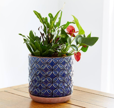 Set of 4 - Southern Patio 6 in. Blue Ceramic Planters Flower