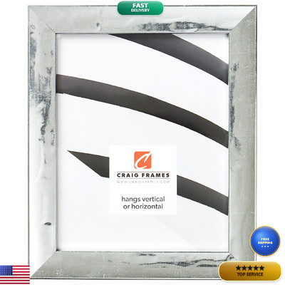 Craig Frames 7742 Allure Picture Frame 10 X 13 French Silver