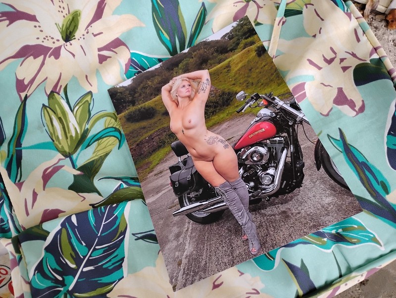 Gina Wilson 8x10 print the bike