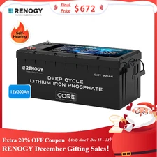 Renogy 12V 300Ah Series Deep Cycle Lithium Iron Phosphate Battery w/Self-Heating