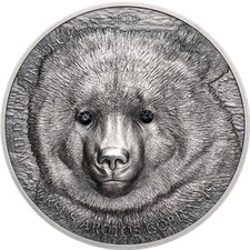 Mongolia 2019 500 Togrog Mongolian Gobi Bear 1 oz Antique Silver Coin