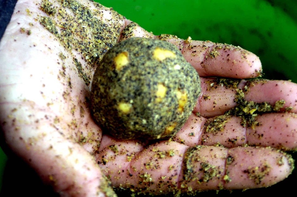 RAPIDO 10 kg LockfutterAngelfutterWettkampffutterKarpfen-Brassen-Rotaugen (2,35 €/ kg)