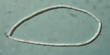 Vintage Authentic White Quahog Wampum Shell Tube Beads 40 beads per Strand