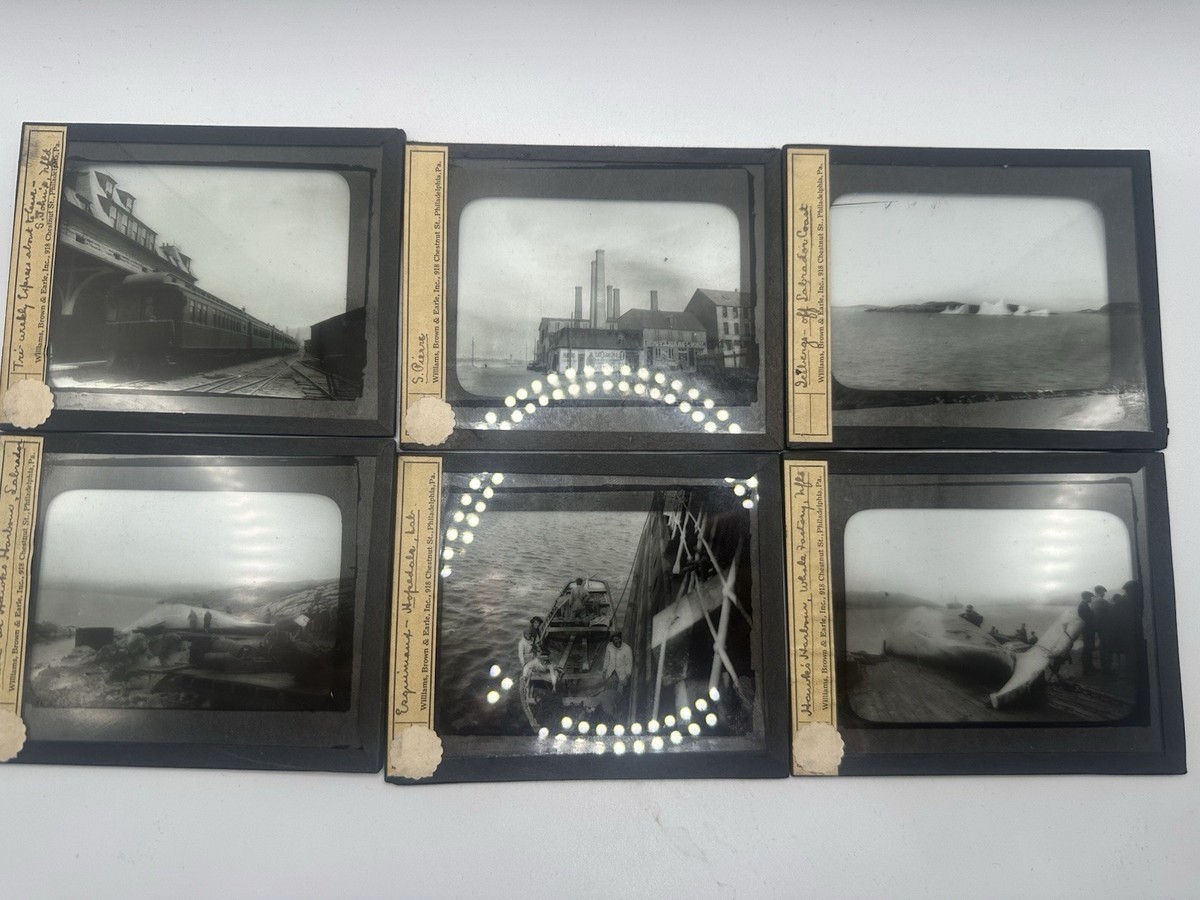 1920's Life In Newfoundland and Labrador 52 Slides Whaling Trains