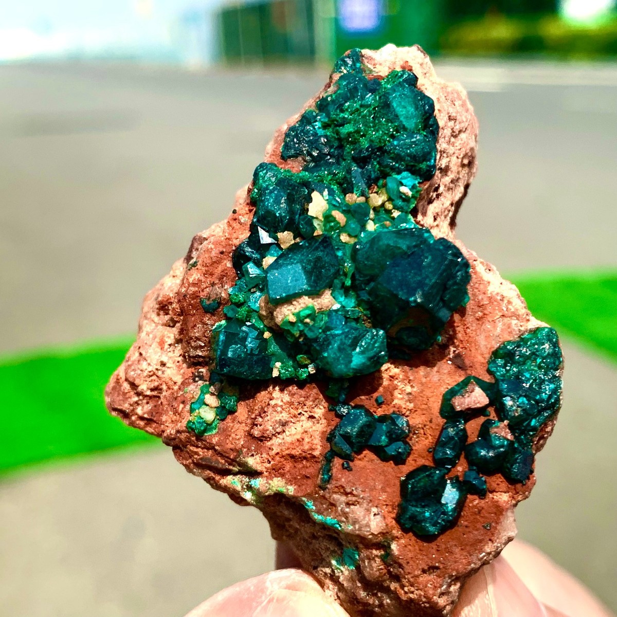53G Natural green dioptase emerandine gemstone cluster mineral
