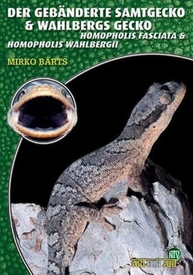 Der Gebänderte Samtgecko & Wahlbergs Gecko: Homopholis Buch Natur und Tier