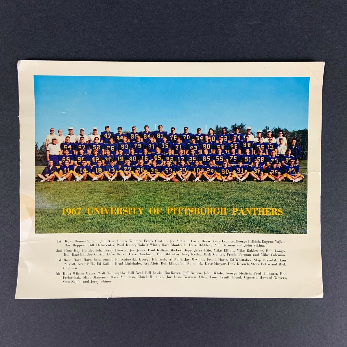 1967 University of Pittsburgh Panthers Football Photo x 11