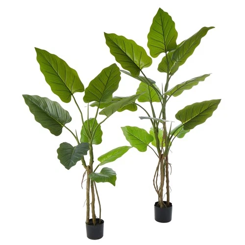 Giant Taro Plant Green100x100x140cm