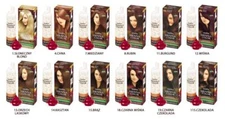 HENNA HAIR DYE COLOR COLORING MOUSSE NO Ammonia, PPD, Oxidant, Resorcinol 