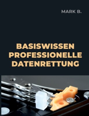 Basiswissen Professionelle Datenrettung