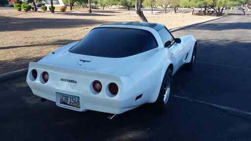 1981 Gray Chevrolet Corvette   | C3 Corvette Photo 6