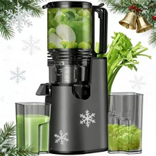 Cold Press Juicer Machine 350W Slow Juicer for Whole Fruits & Vegetables