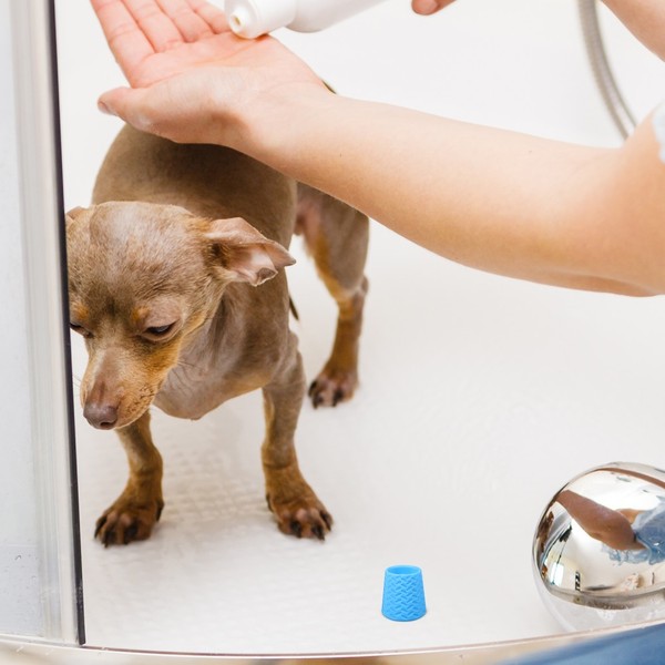  Kit Limpieza Mascotas Accesorios Para Mascotas Utensilios De Baño Perros Accesorio De Ducha