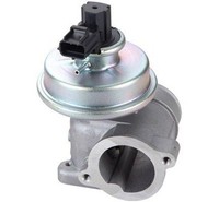 Magneti Marelli Agr-Ventil 571822112109 FüR Ford Jaguar