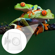 Reptile Feeding Dish Modern Water Bowl for Jumping Spider Tarantula Lizards