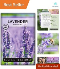 Cultivate Stunning English Lavender - Heirloom Seeds for Indoor/Outdoor Beauty