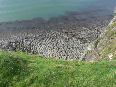 Photo 6x4 Wave cut platform, Trwyn-y-Tal Trefor/SH3746  c2009