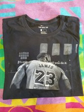 it's only a crazy dream until you do it lebron