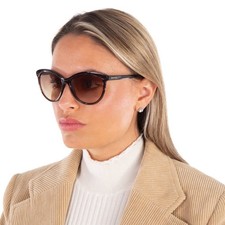 Calvin Klein Brown Gradient Cat Eye Ladies Su...