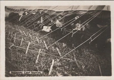 1918 Photo American Camp Hospital Field Medics Tent Wounded Soldiers Care