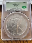 2024 American Silver Eagle CACG MS70 WitterBrick Sample Prerelease Gem BU