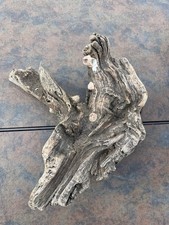 Natural Driftwood for Plants Terrarium Taxidermy Art Projects