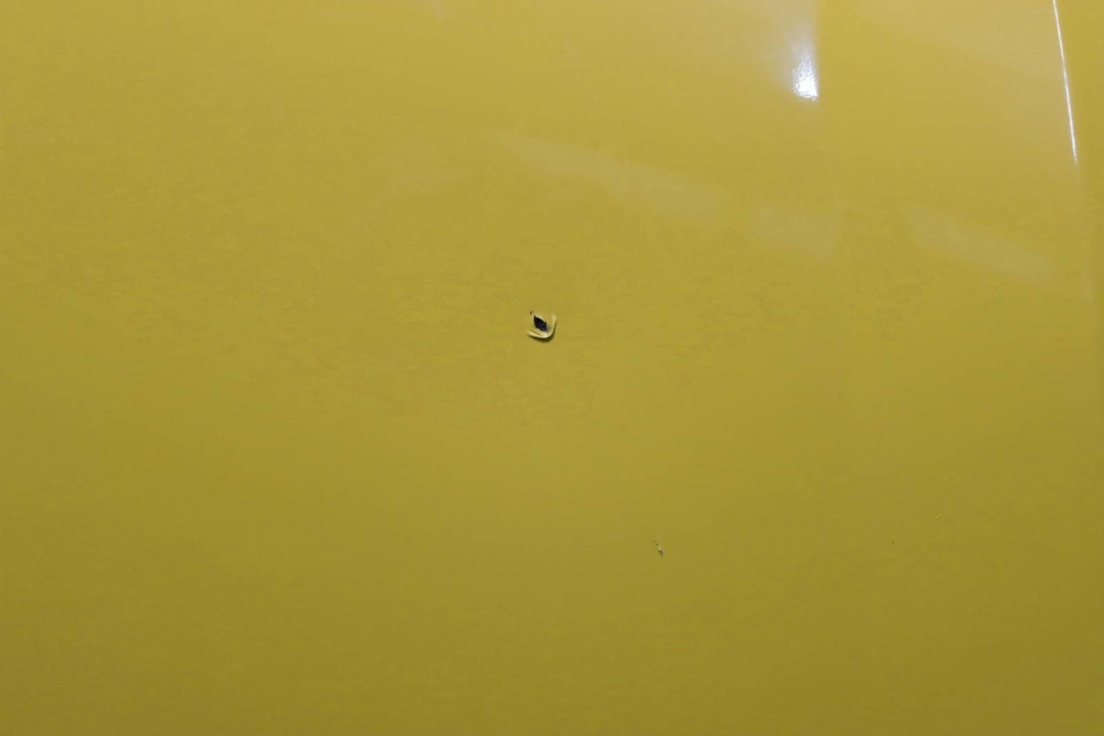 Lamborghini Urus Front Bonnet Hood Lid Panel 4ML010515A 2019 - 2023 OEM