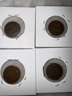 Indian Head Small Cent Lot of 4 (1900-1906)
