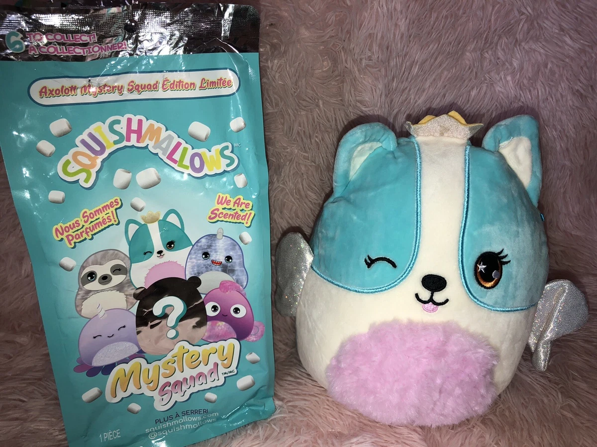 NEW Mystery Party City Squad Squishmallow 8 Corgi Princess eBay