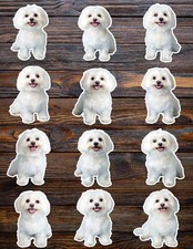 Maltese Dog Die Cut Vinyl Stickers Set Scrapbooking Laptop Waterbottle