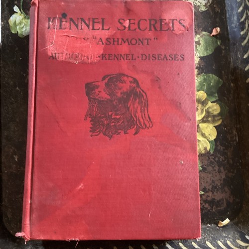 RARE ILLUSTRATED DOG BOOK "KENNEL SECRETS" BY ASHMONT 1904 TERRIER HOUND TOYDOG