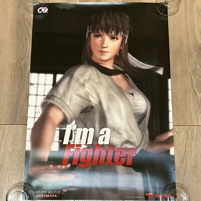 DEAD OR ALIVE 5 Ultimate B2タペストリー【全6種】 Dead or Alive 5 Ultimate Hitomi I'm a Fighter Limited Benefits B2
