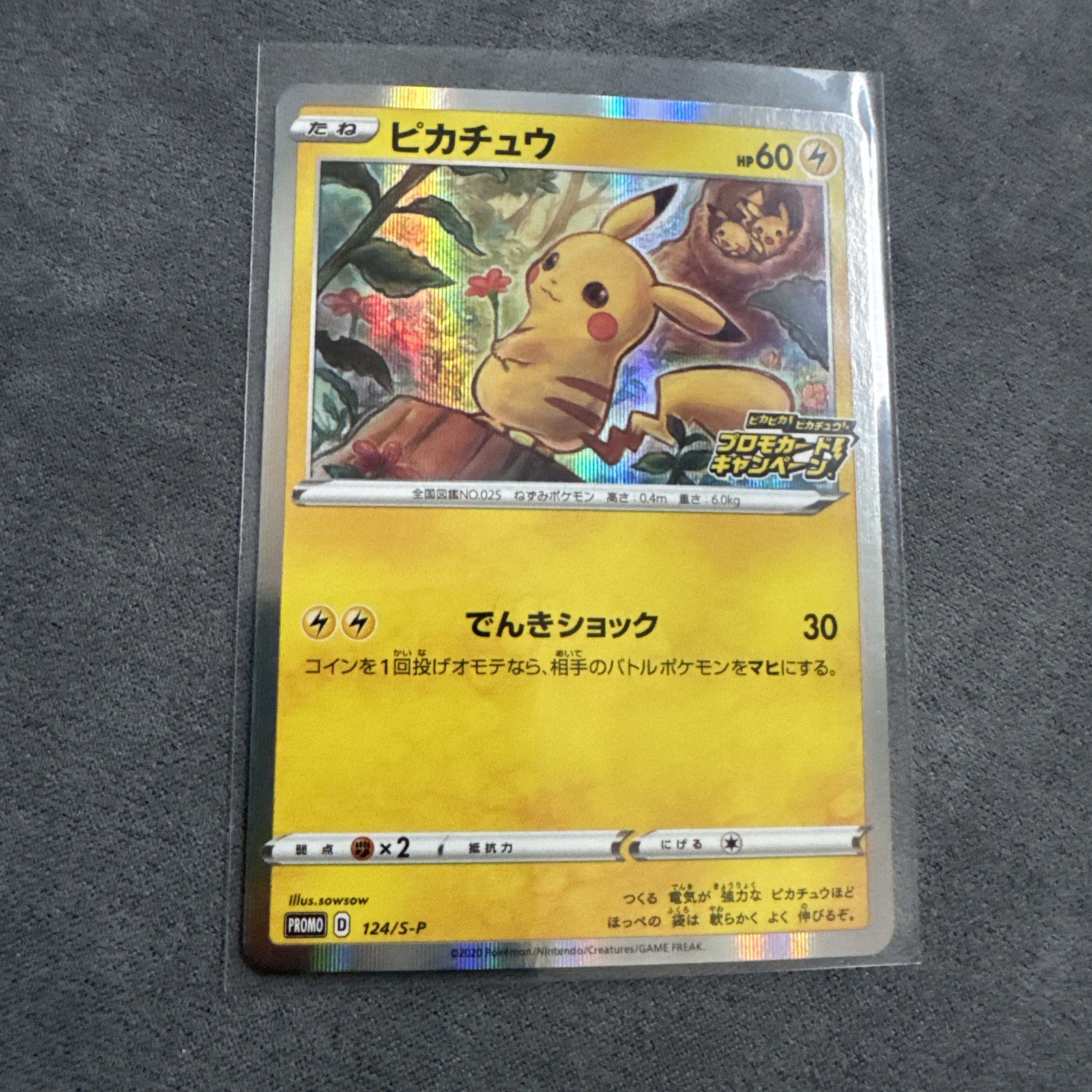 Pokemon Card Japanese Pikachu Promo 124/S-P Near Mint F/S 