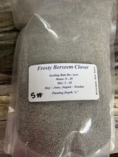 5 lbs Frosty Berseem Clover - Deer Food Plot / Wildlife Seed