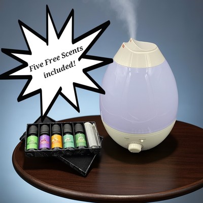 Color Changing Humidifier Built in Aroma Diffuser and Five Free Scents