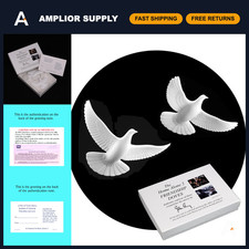 Authentic Home Alone 2 Doves Pair Replicas - USA Made Movie Collectibles