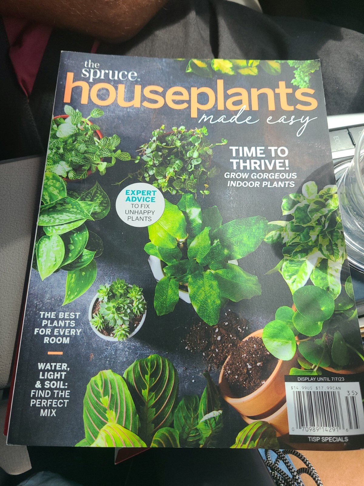 The Spruce Houseplants Made Easy Expert Advice to Fix Unhappy