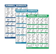 3 PACK UK DUMBBELL WORKOUT + BODYWEIGHT EXERCISE + LEVERAGED REGULAR POSTER SET