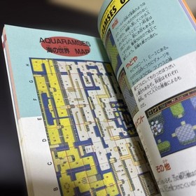 Strategy Guide First Edition] PCE Neutopia FreyChapter Guaranteed Victory