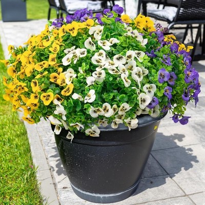 12 Bundles Artificial Fake Pansy Flowers for Outdoor - Yellow, White & Purple Fa