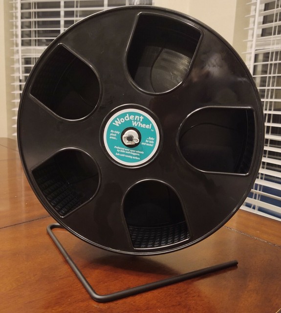 suncoast sugar gliders