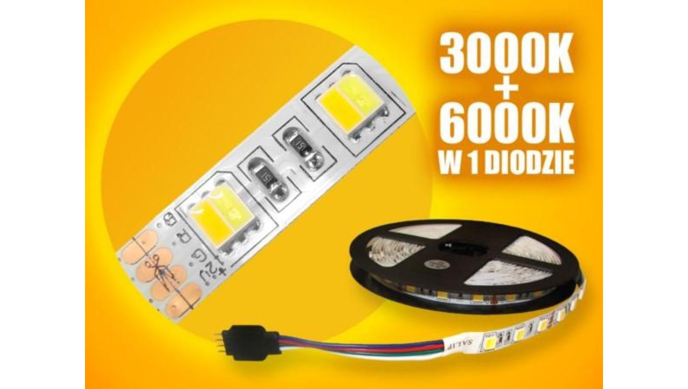 LED Strip Basic 5050 WW+CW 5m/300 Diode 008977