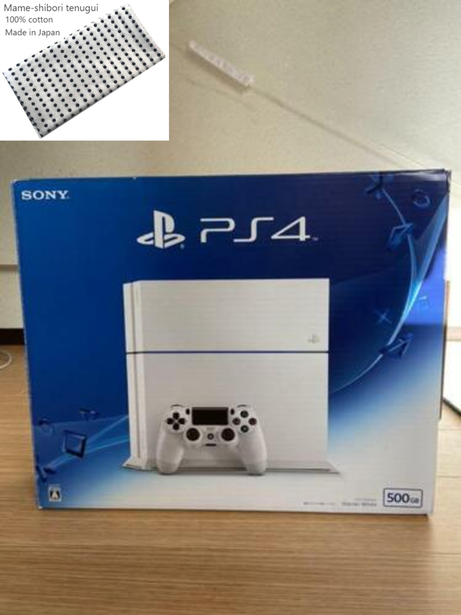 PS4 プレステ4 プレイステーション4 PlayStation 4 グレイシャー PS4 プレステ4 プレイステーション4 PlayStation 4 グレイシャー
