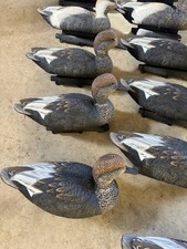 One Dozen Final Approach Duck Decoys Plastic Life Sz Gadwall