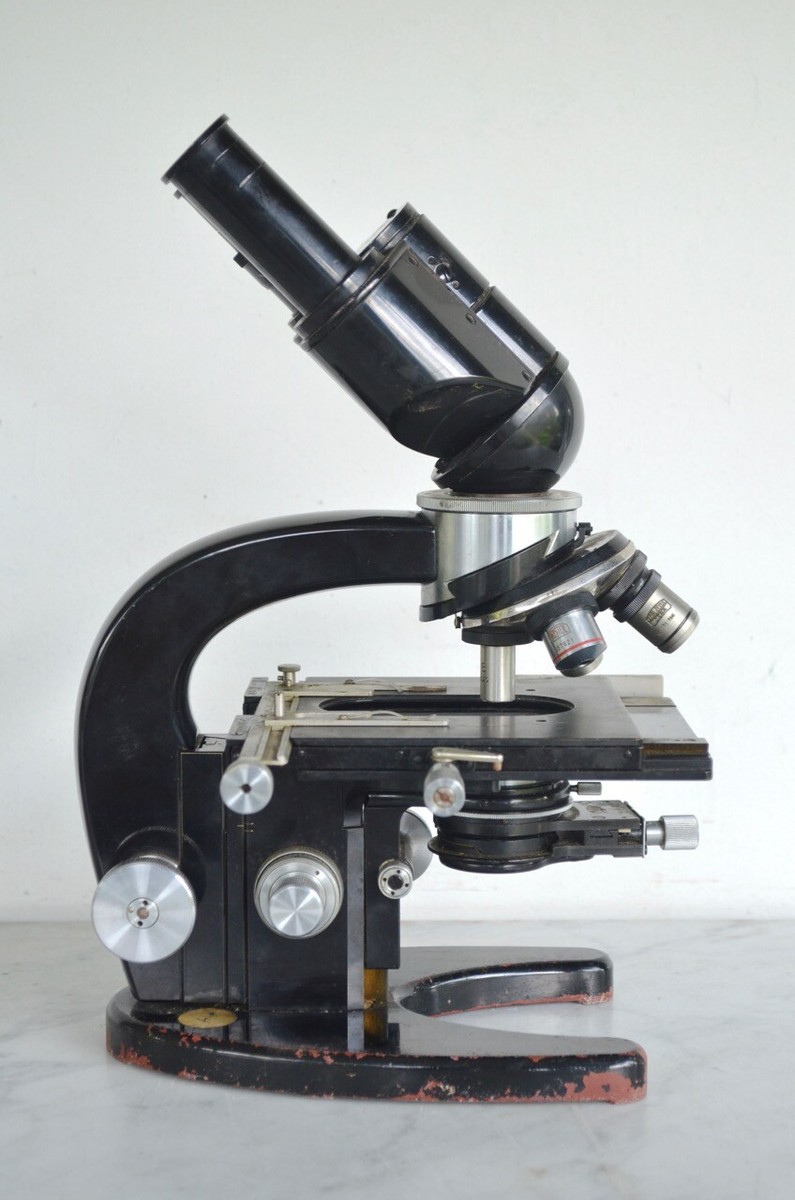 Vintage CARL ZEISS JENA Microscope & 4 Lenses & Original Wood Case