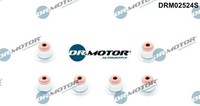 Dr.Motor Automotive DRM02524S Dichtungssatz FüR Ventilschaft