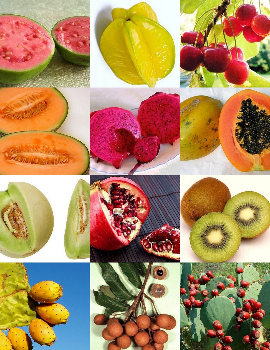 Fruits with seeds online