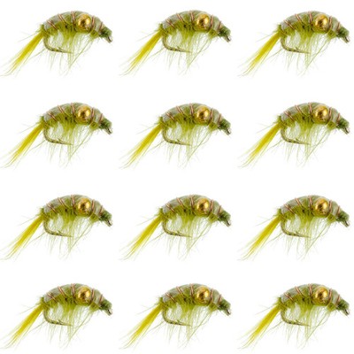 Olive Beaded Shrimp Scud Pattern - 1 Dozen Size 16 - Tailwater Lake Fly