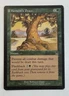 MTG Odyssey Moment's Peace 251/350 MP